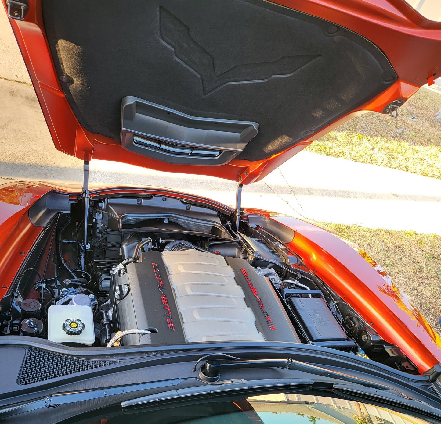 Engine Bay Detail